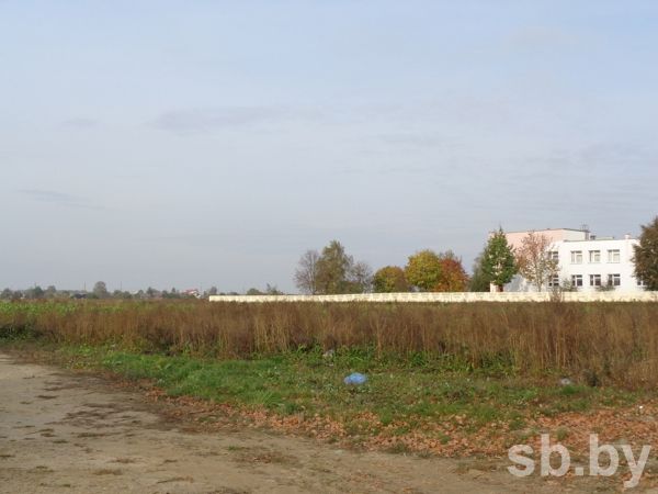 На этом поле по генплану развития Скиделя должны к 2018 году появиться детский сад и жилые дома для очередников из Гродно.