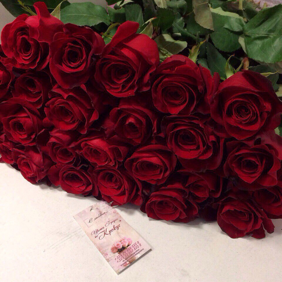 Средняя цена одной розы. 65 Цветы. Средняя стоимость одной розы. Стоимость 1 розы.