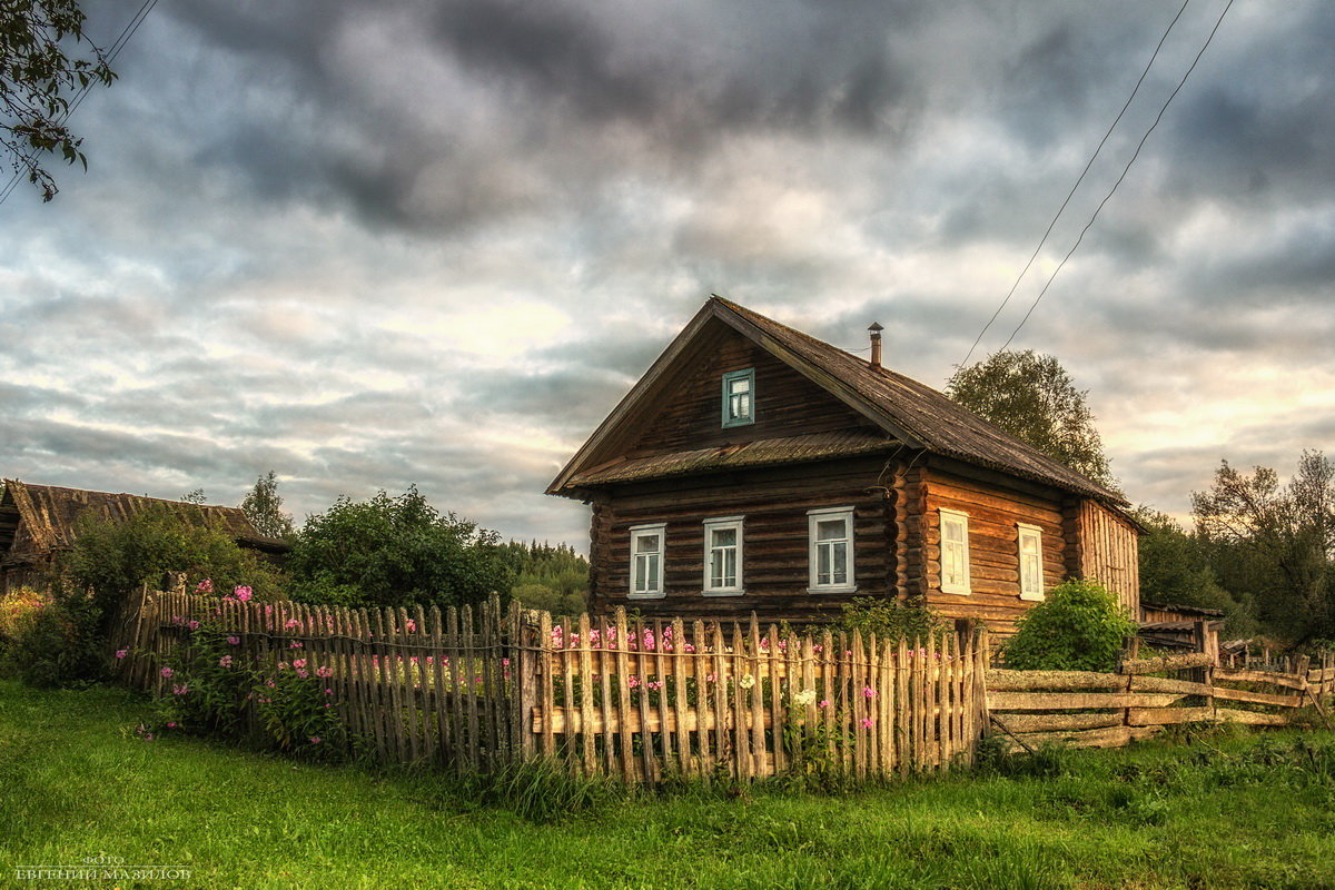 Фото случайно, Google